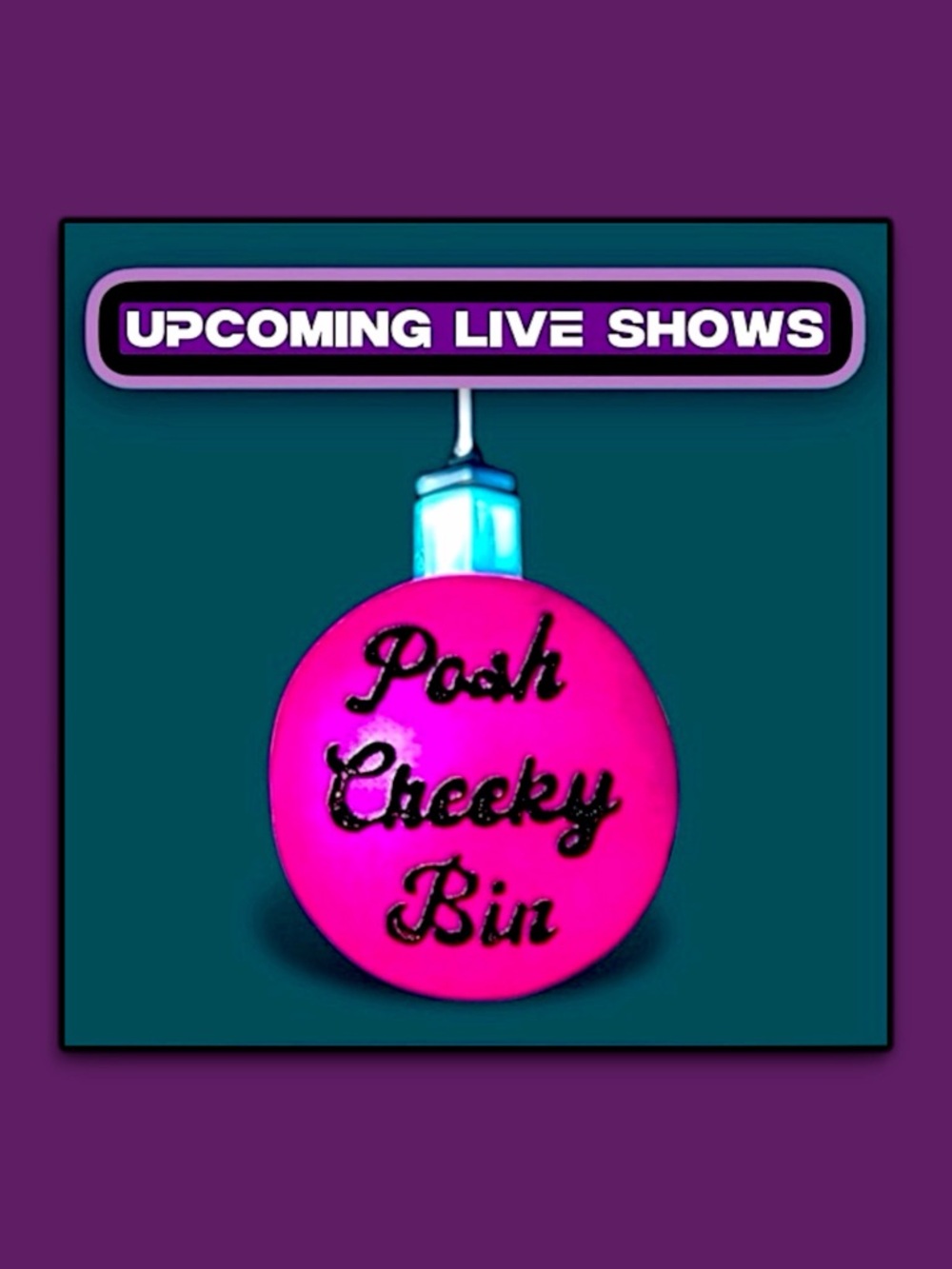 Next LIVE, Sat, 5/2 at 3:30 pm PST Fab Finds For $15 or Less⭐️Posh Cheeky LIVE - Picture 3 of 16